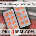 What Is Kamagra Jelly Used For 27